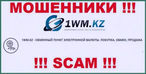 Деятельность интернет-мошенников 1WM Kz: Online-обменник - капкан для малоопытных людей