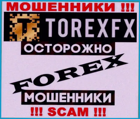 Направление деятельности TorexFX: Forex - отличный заработок для мошенников