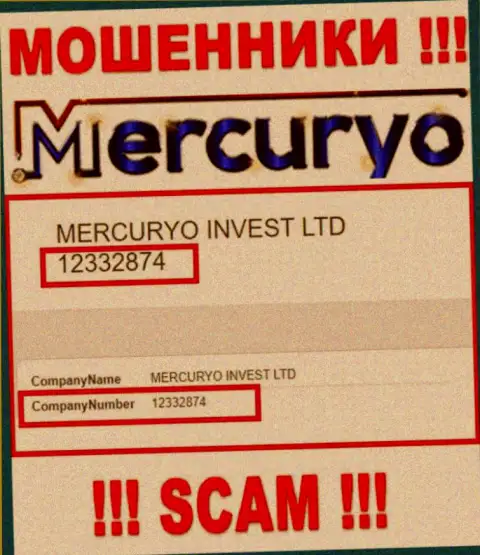 Номер регистрации противоправно действующей конторы Меркурио Ко: 12332874