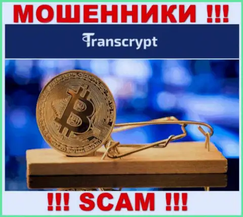 Не загремите в грязные лапы интернет-мошенников TransCrypt, не вводите дополнительно финансовые средства