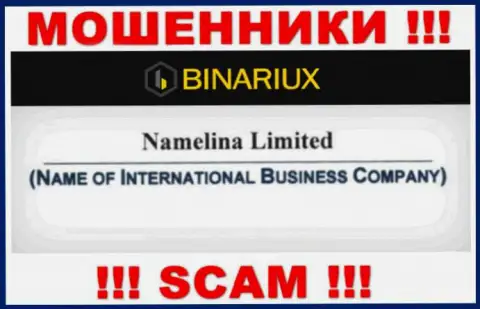 Binariux - это интернет-мошенники, а владеет ими Namelina Limited