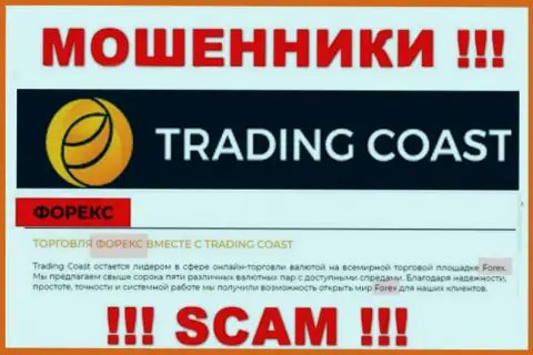 Род деятельности Trading Coast: ФОРЕКС - хороший доход для интернет мошенников
