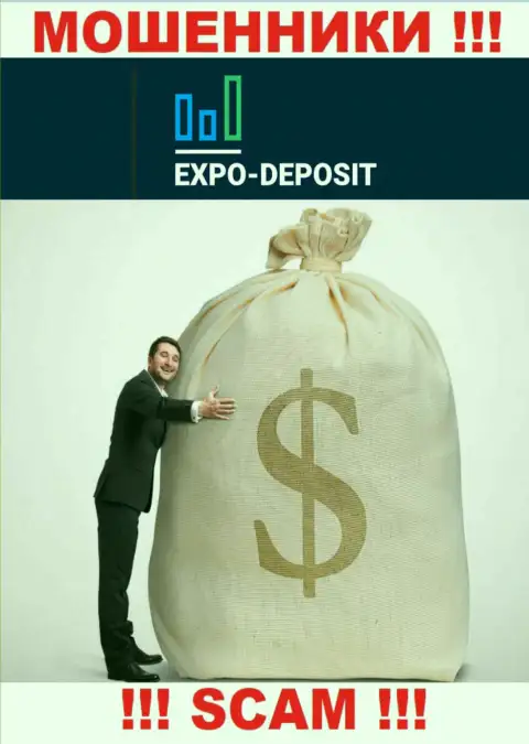 Невозможно вернуть обратно финансовые активы из дилинговой организации Expo-Depo, в связи с чем ни копейки дополнительно заводить не нужно
