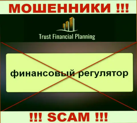 Информацию о регуляторе организации Trust-Financial-Planning не найти ни на их web-сервисе, ни в сети интернет