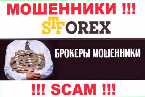 Мошенники STForex только лишь пудрят мозги валютным трейдерам, рассказывая про нереальную прибыль