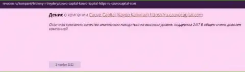 Дилинговая фирма Cauvo Capital представлена в отзыве на интернет-ресурсе ревокон ру