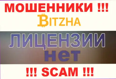 Мошенникам Bitzha 24 не выдали лицензию на осуществление деятельности - сливают финансовые активы