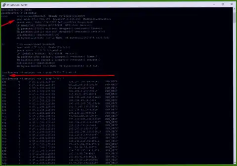 Пример DDoS атаки на сервер maximarkets.pro