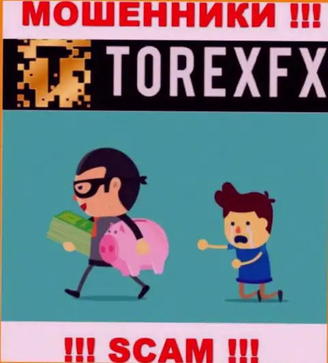 Не нужно совместно сотрудничать с ДЦ TorexFX Com - разводят валютных игроков